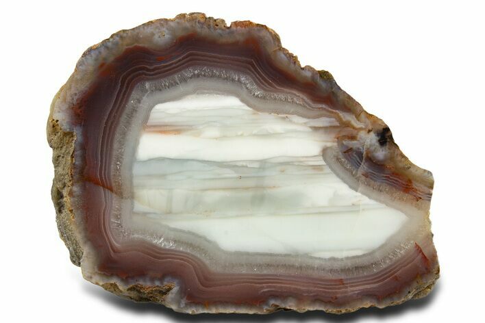 Polished Queensland Agate - Australia #323010